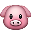 :pig: